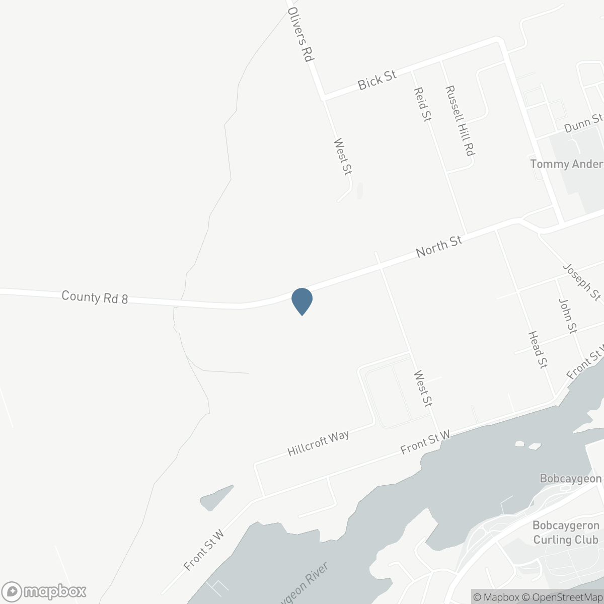 1982 COUNTY RD 8, Bobcaygeon, Ontario K0M 1A0